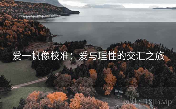 爱一帆像校准:爱与理性的交汇之旅