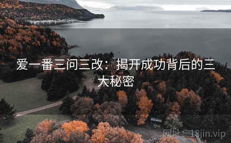 爱一番三问三改:揭开成功背后的三大秘密